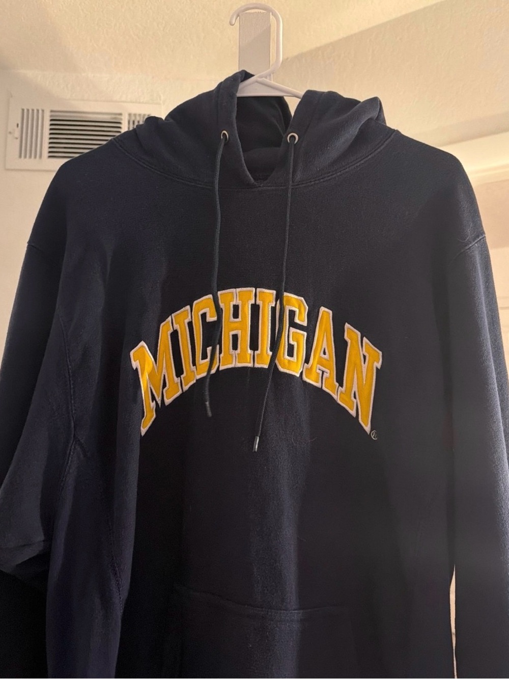 Michigan Wolverines 2000s/ Y2K Steve & Barryโs Hoodie. Size Medium